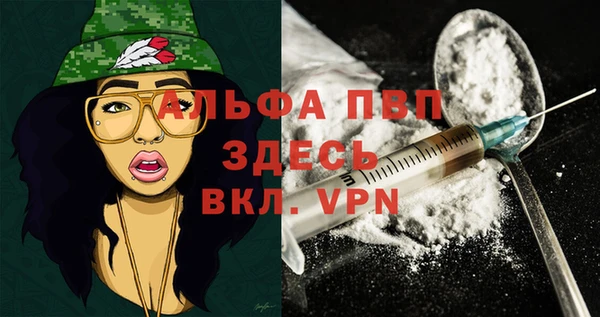 крисы Арсеньев