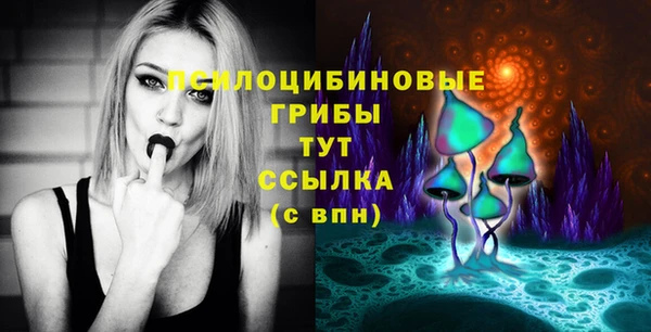 крисы Арсеньев